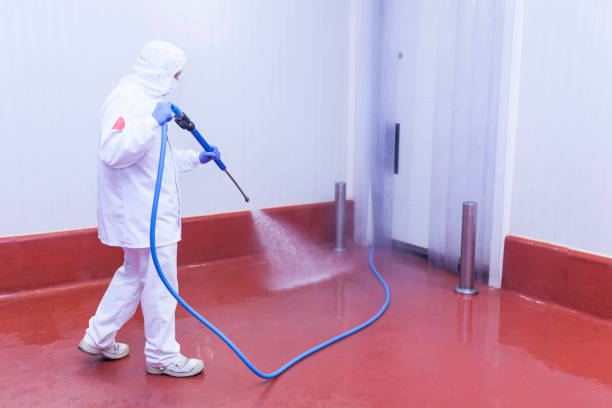 Best Graffiti Removal Services in Mustang Ridge, TX