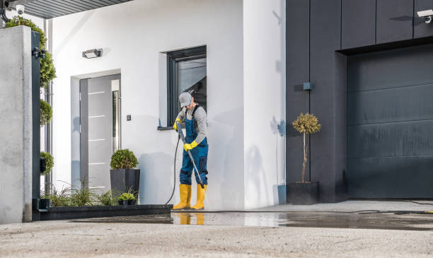 Best Soft Washing for Delicate Surfaces in Mustang Ridge, TX